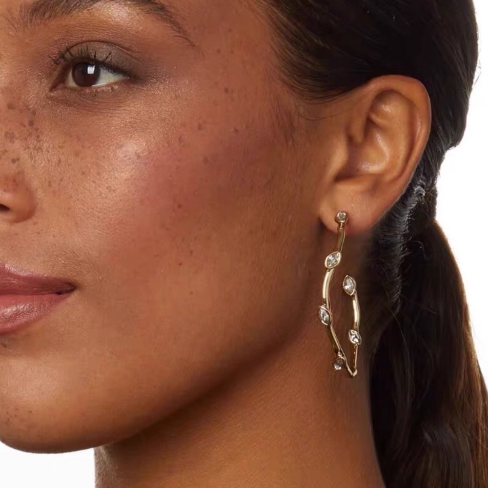 Alexis Bittar Nanette Crystal Hoop Earrings - Picture 6 of 11